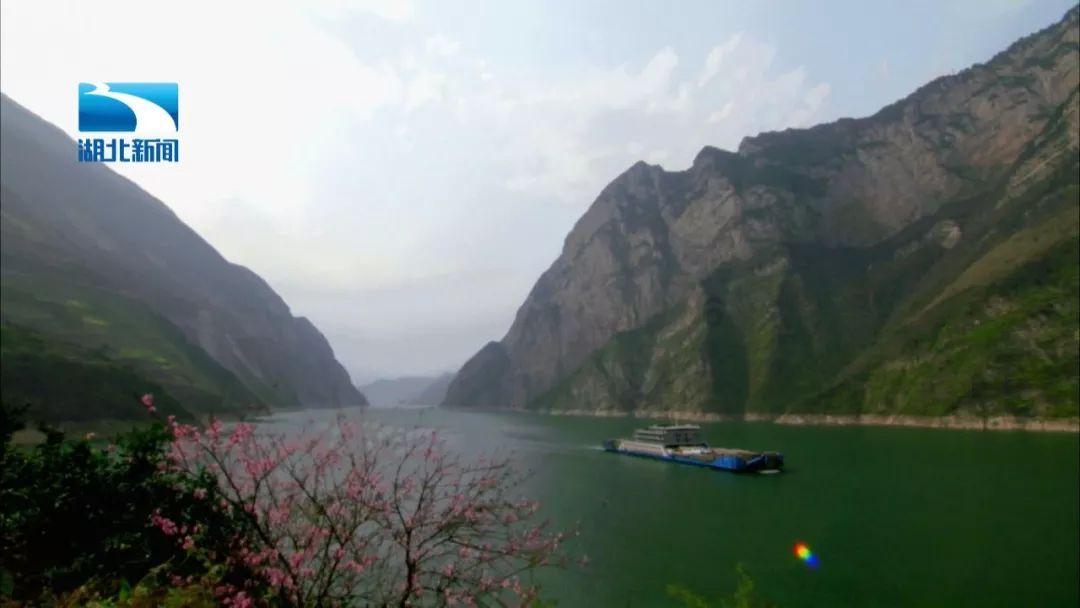 逃出小象森林